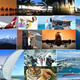 Illustration for article titled Explore Affordable Dubai Travel And Trip Packages